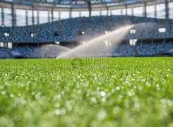 火箭欲以格,谢泼德,首轮签交易,乐鱼体育,乐鱼体育平台,乐鱼体育官网